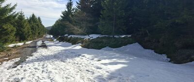 Rozdroże pod Kopą ↔ Rozejście szlaków