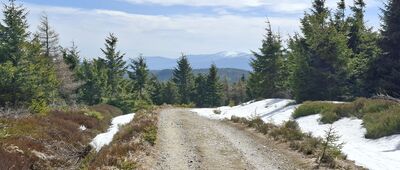 Pod Wysoką Kopą ↔ Rozdroże pod Kopą
