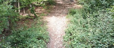 Mały Kicarz [Podejście na Kicarz]