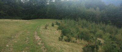 Kicarz ↔ Skrzyżowanie szlaków [Pod Kicarzem]