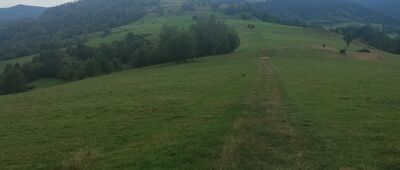 Kicarz ↔ Skrzyżowanie szlaków [Zejście z Kucharza zielonym łącznikiem]