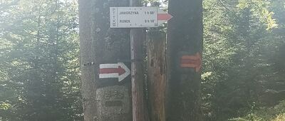 Skrzyżowanie na Hali Łabowskiej ↔ Runek [Runek - rozdroże wschodnie]