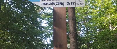 Drabiakówka [Oznakowania szlaków z czasami, w drodze na Drabiówkę]