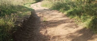 Dolina Czarnego Potoku ↔ Przełęcz Krzyżowa [Widok zielonego szlaku na zejściu do Czarnego Potoku]