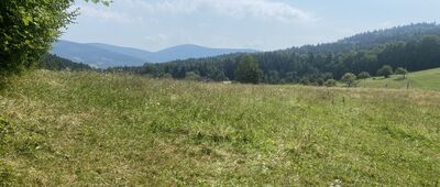 Rozejście szlaków ↔ Osieczany