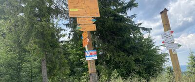 Pod Jaworzyną Krynicką, odejście do schroniska