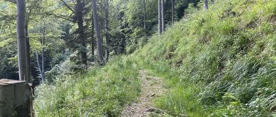 Betlejemka ↔ Pod Wielką Bukową