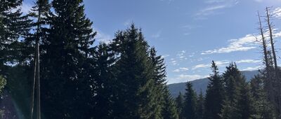 Pod Muńczolikiem ↔ Hala Cudzichowa