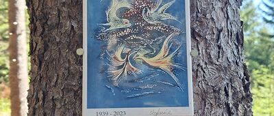 Skalnik ↔ Pod Ostrą Małą