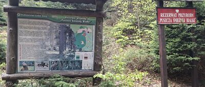 Rezerwat Puszcza Śnieżnej Białki