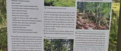 Przełęcz Trzech Granic