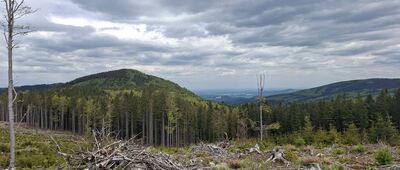 U Smrku ↔ Pasieczna