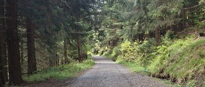 Pod Orlicą ↔ Kamień Rübartscha