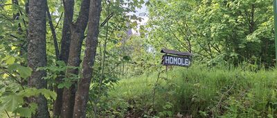 Rezerwat Wąwóz Homole