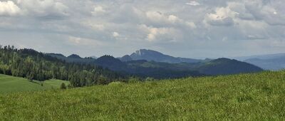 Przełęcz Rozdziela, odejście szlaku żółtego