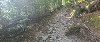 Szczyrk, Solisko, rozejście szlaków ↔ Przełęcz pod Malinowem