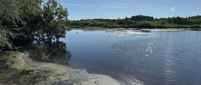Kołobrzeg, Kamienny szaniec ↔ Sianożęty, promenada