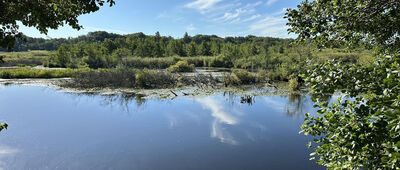 Kołobrzeg, Kamienny szaniec ↔ Sianożęty, promenada
