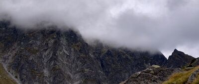 Vyšné Kôprovské sedlo ↔ Nad Žabím potokom