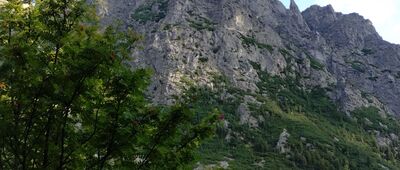 Horský hotel Popradské pleso ↔ Popradské pleso, rázcestie