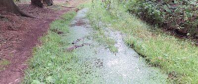 U Červeného vrchu ↔ Rozdroże pod Słoneczną