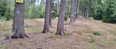 Pod Leszczyńcem [Odejście szlaku niebieskiego CZ]