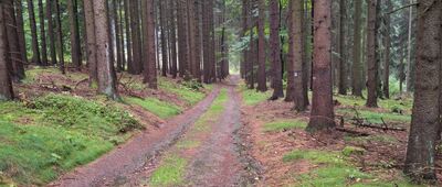 U Červeného vrchu ↔ Pod Červeným vrchem