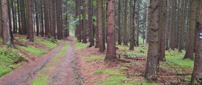 U Červeného vrchu ↔ Pod Červeným vrchem