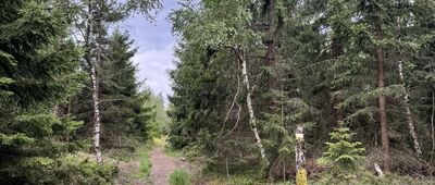 Czerniec ↔ Pod Gniewoszem