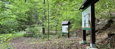 Solna Jama ↔ Zamek Szczerba