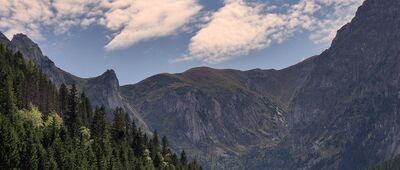 Wielka Polana w Dolinie Małej Łąki [Widoki w głąb Doliny Małej Łąki]