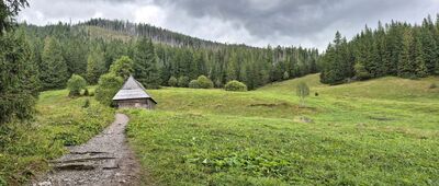 Przełęcz Nosalowa ↔ Olczyska Polana [Olczyska Polana]