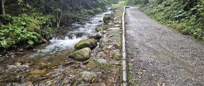 Olczyska Polana ↔ Jaszczurówka [Olczyski Potok]