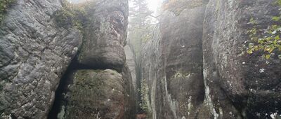 Schronisko Na Szczelińcu ↔ Szczeliniec Wielki, Koński Łeb