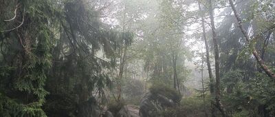 Szczeliniec Wielki, Koński Łeb