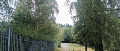 Przełęcz Łysa ↔ Przełęcz Łysa, rozejście szlaków