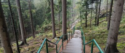 Szczeliniec Wielki, Koński Łeb ↔ Wejście na trasę turystyczną im. Franciszka Pabla