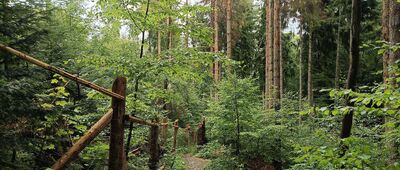 Droga u podnóża Szczelińca Wielkiego ↔ Rozdroże nad Skalnymi Wrotami