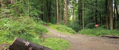 Rozdroże nad Skalnymi Wrotami