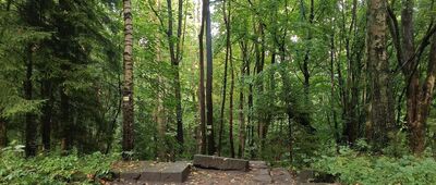 Skalne Wrota, skrzyżowanie szlaków niebieski / żółty