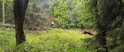 Skalne Wrota, skrzyżowanie szlaków niebieski / żółty