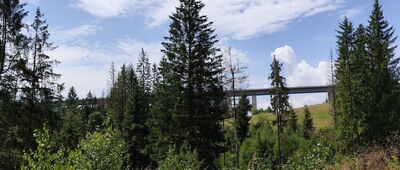 Jaworzynka, TPG Słowacja ↔ Jaworzynka, Czadeczka