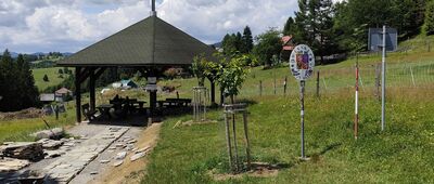 Trójstyk Polska / Czechy / Słowacja