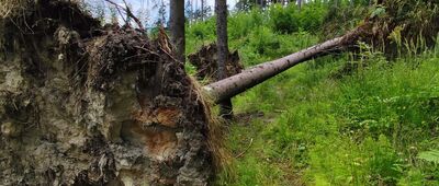 Jasnowice ↔ Jaworzynka, kościół