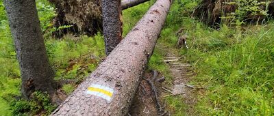 Jasnowice ↔ Jaworzynka, kościół