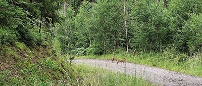 Młoda Góra ↔ Jasnowice