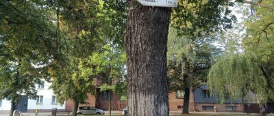 Myszków, Mrzygłód