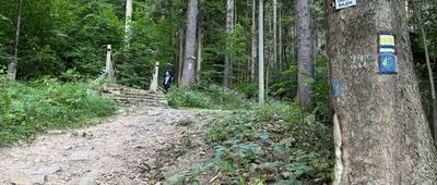 Międzygórze, rozejście szlaków