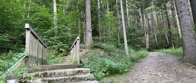 Międzygórze, rozejście szlaków