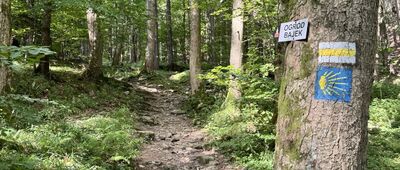 Międzygórze, rozejście szlaków